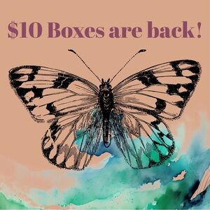 $10 Mystery Reseller Box